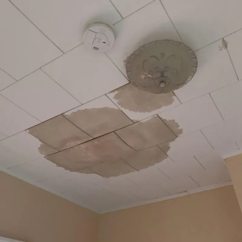 Ceiling Water Damage Repair in Platte County, NE