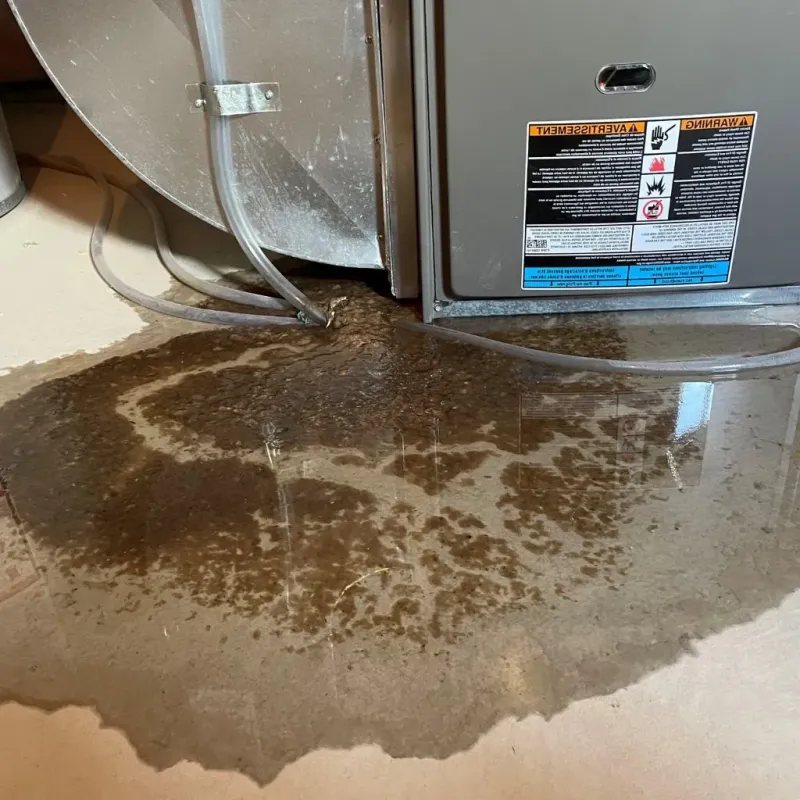 Pipe Burst and Leak Restoration in Platte County, NE